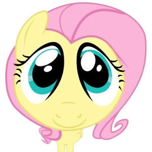 Meet your Posher, Angelina